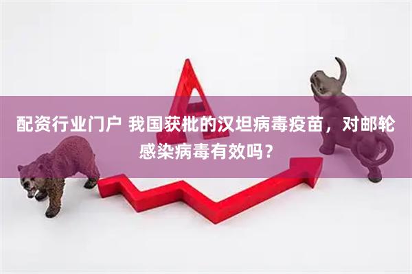 配资行业门户 我国获批的汉坦病毒疫苗,对邮轮感染病毒有效吗?